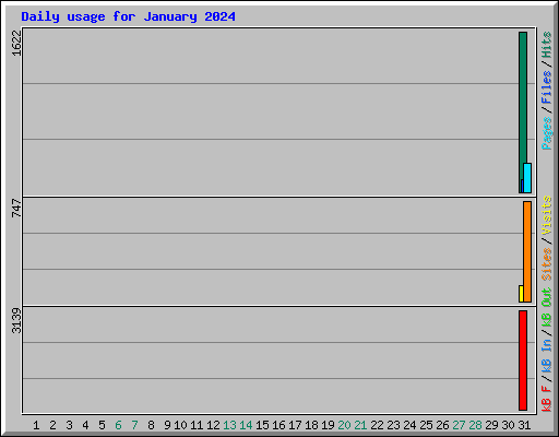 Daily usage for January 2024