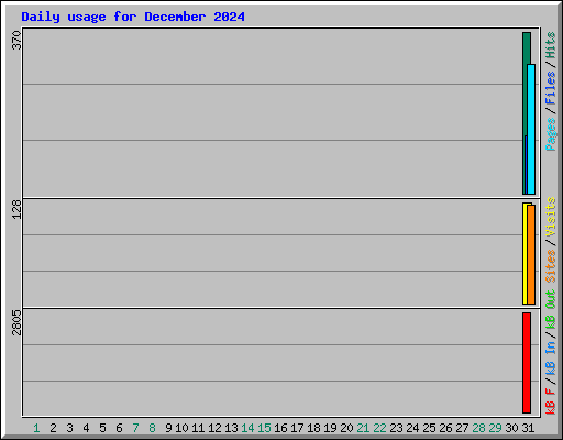 Daily usage for December 2024