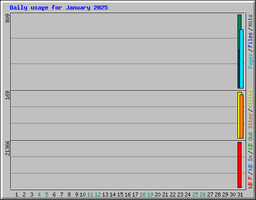 Daily usage for January 2025