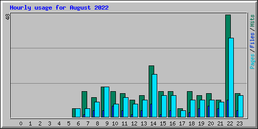 Hourly usage for August 2022