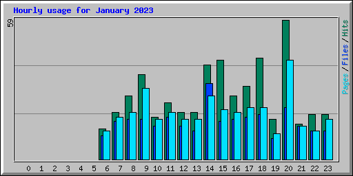 Hourly usage for January 2023