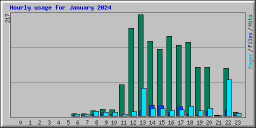 Hourly usage for January 2024