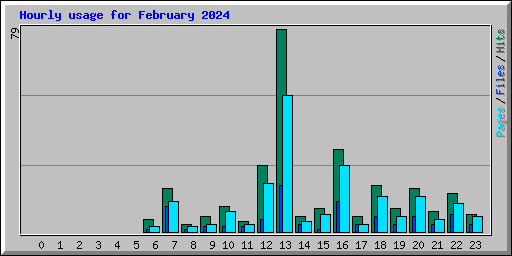 Hourly usage for February 2024