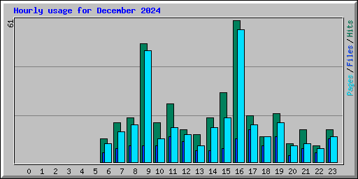 Hourly usage for December 2024