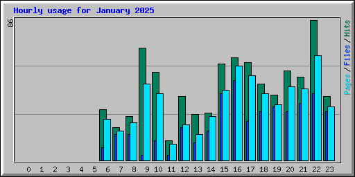 Hourly usage for January 2025