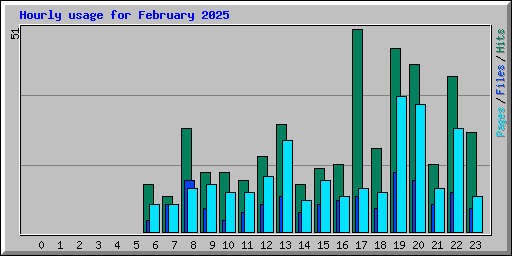 Hourly usage for February 2025