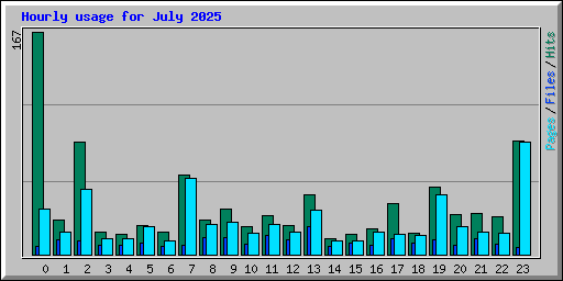 Hourly usage for July 2025