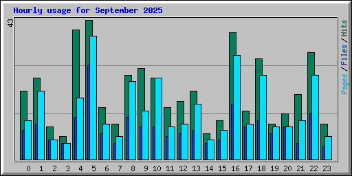 Hourly usage for September 2025