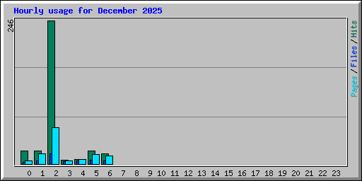 Hourly usage for December 2025