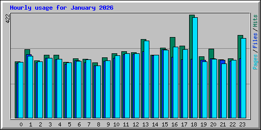 Hourly usage for January 2026