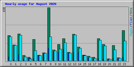 Hourly usage for August 2026
